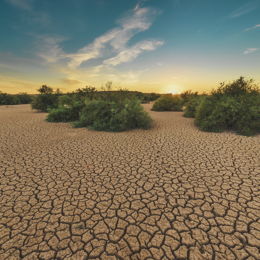El Nino unmasked: Insights into global challenges 