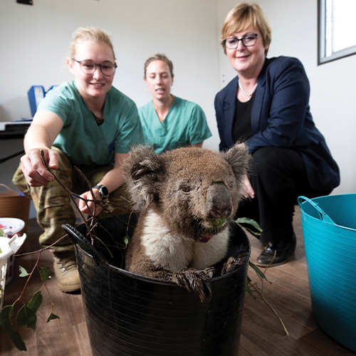 Operation Bushfire Assist*Emily Hough speaks to Senator Linda Reynolds, Minister for Defence, to find out how Australia’s armed forces are helping in response and recovery