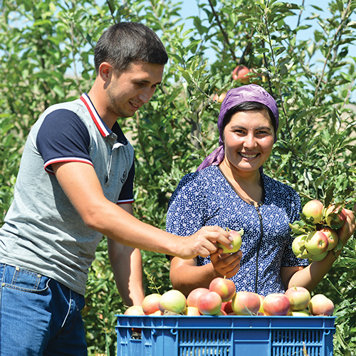 Small-scale producers on the frontlines*Dominique Burgeon describes the need for disaster risk reduction in the agricultural sector