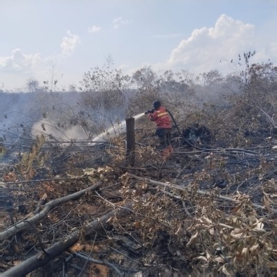 Reading between the smoke*Zainab Farooqui speaks with Robert Field about his work tracking smoke across Southeast Asia, and  how bringing a complex fire system to the tropics required a return to the basics