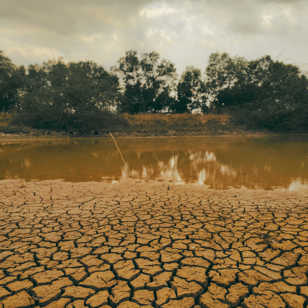 Groundwater 1 (2)