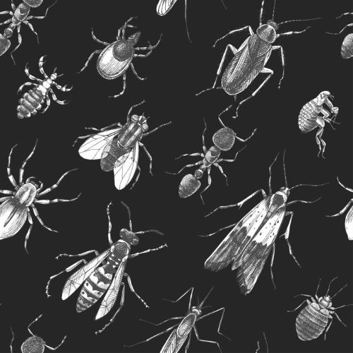 Problem pests – vicious vectors 