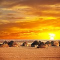 Ethiopia drought: The cost of a delayed response 