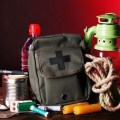 New course on disaster health for public and professionals 