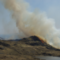 Is 2025 the UK’s most extreme wildfire year yet? New report says yes